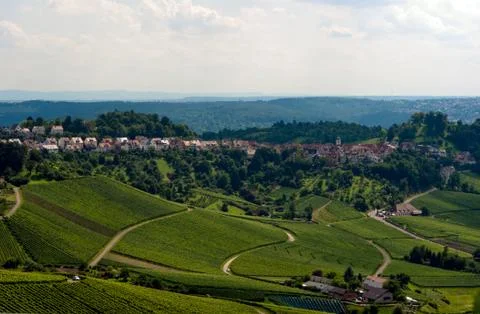 Vineyard in the fall of stuttgart Stock Photos