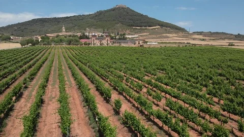 Vineyard In Farm Fields Of Spain Aerial View From Sky Stock Footage 111580455