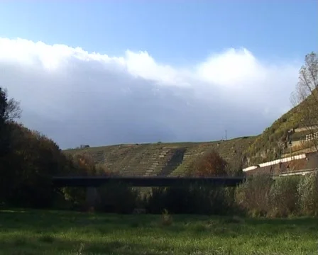 Vineyard Felsengarten Stock Footage 62456