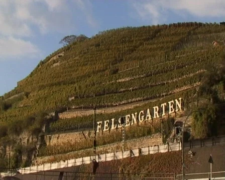 Vineyard Felsengarten Vídeo Stock 62457
