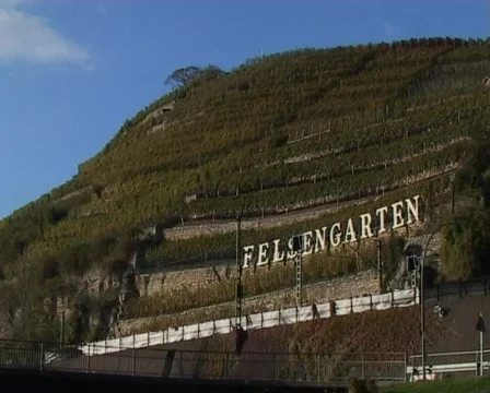 Vineyard Felsengarten Vídeo Stock 62458