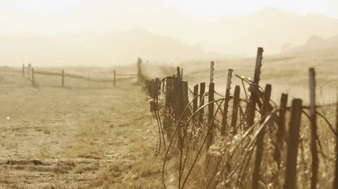 Vineyard fence at sunset closer Video stock 44447429