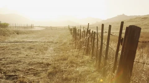 Vineyard fence at sunset Stock Footage 44447446