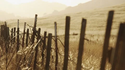 Vineyard fence at sunset pan Stock Footage 44447433