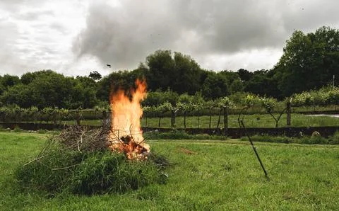 Vineyard field fire Stock Photos