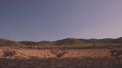 Vineyard fields Stock Footage 107618852