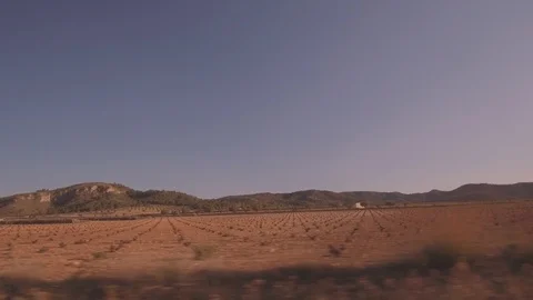 Vineyard fields Stock Footage 107619093