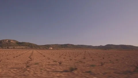 Vineyard fields Stock Footage 107619588