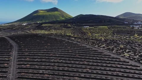 Vineyard fields in Lanzarote Spain surrounded by volcanic mountains 库存影片 331799426