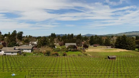 Vineyard Float Stock Footage 108126200