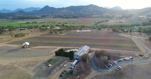 Vineyard flyover with mountain sunset Video stock 80900370