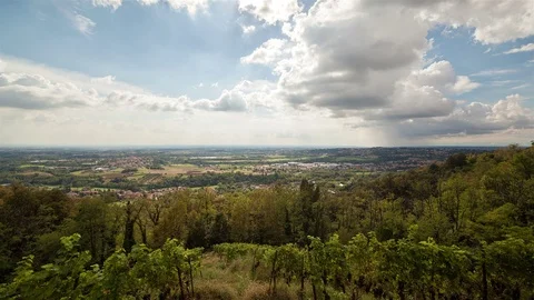 Vineyard Stock Footage 98503293
