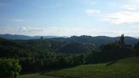 Vineyard Stock Footage 148640457