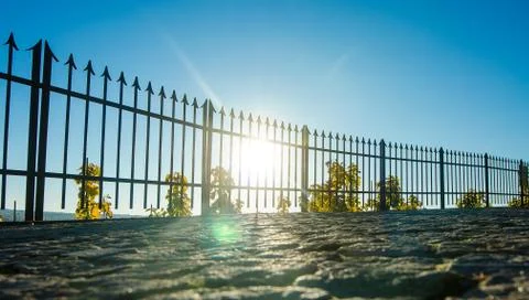 Vineyard full of sun Stock Photos