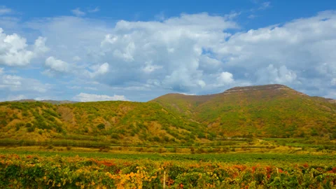 Vineyard in green mountain valley under blue cloudy sky 스톡 동영상 336304293
