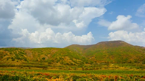 Vineyard in green mountain valley under blue cloudy sky Stock Footage 341553284