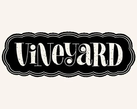 Vineyard Hand Lettering Stock Illustration