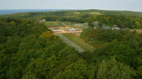 Vineyard Harbor Stock Footage 68000440