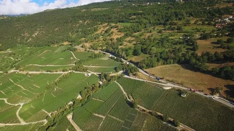 Vineyard hill drone shot Stock Footage 72563709