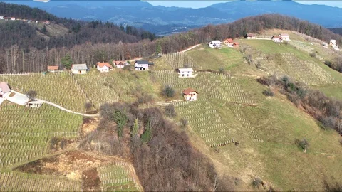 Vineyard hill flyover Stock Footage 100290310