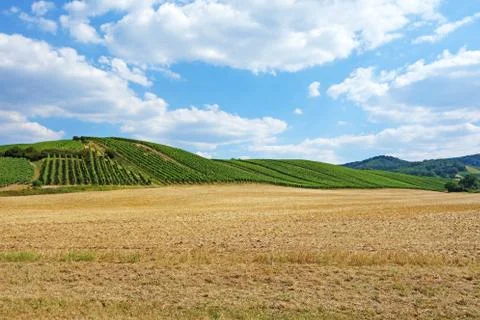 Vineyard hill Stock Photos