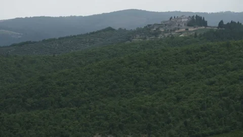 Vineyard on the Hill Surrounded By the Woods Stock Footage 98632938