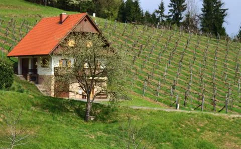 Vineyard House Stock Photos