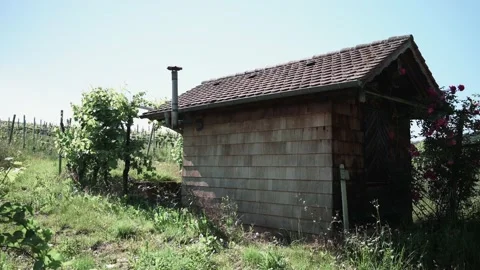 Vineyard hut on a vineyard between vines Stock Footage 141879542