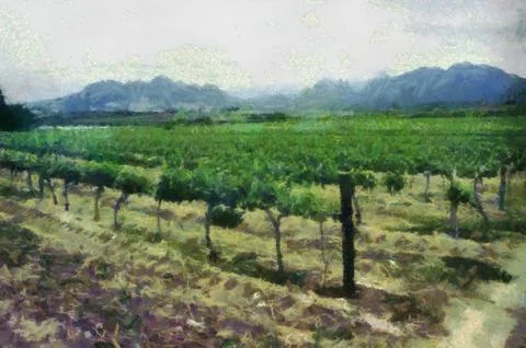 Vineyard Illustrazione stock
