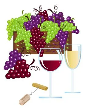 Vineyard Stock Illustration