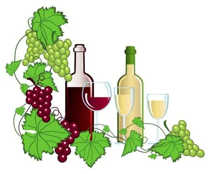 Vineyard Stock Illustration