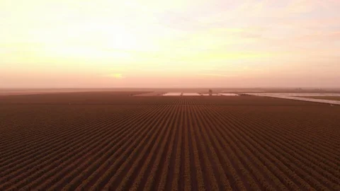 Vineyard Landing Shot Stock Footage 129362767