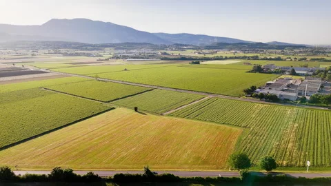 Vineyard landscape with cultivated fields and countryside in Northern Italy Stock Footage 335982049