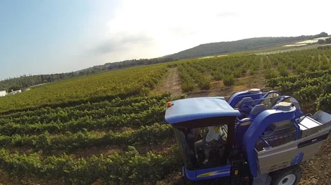 Vineyard landscape Stock Footage 54566490