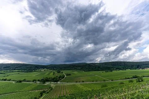 Vineyard Landscape Under Dramatic Clouds: Pfalz Wine Region View Stock Photos