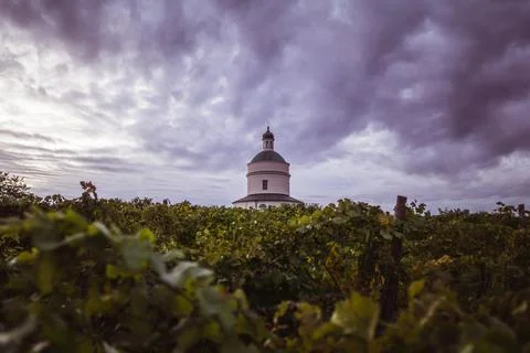 Vineyard landscape under a dramatic sky at dusk Stock Photos
