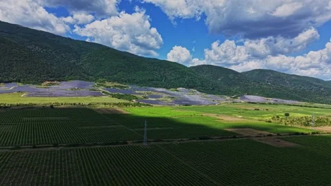 Vineyard landscape under a partly cloudy sky in a rural area Stock Footage 339164610