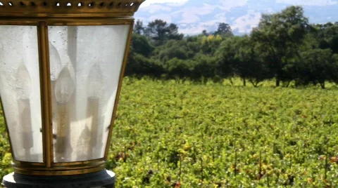 Vineyard Lantern Video stock 850305