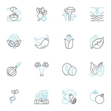 Vineyard linear icons set. Grapes, Winery, Harvest, Wine, Vines, Tasting, Barrel 库存插图