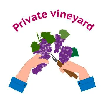 Vineyard logo in flat style Stock Illustration