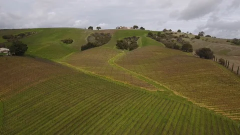 Vineyard mountainous land postcard Video stock 127939412