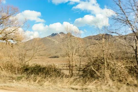 Vineyard in the mountains. Photos