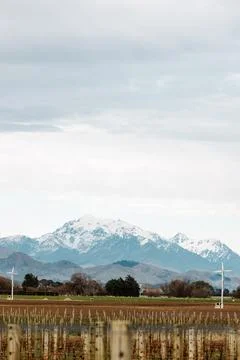 Vineyard Mountains Stock Photos