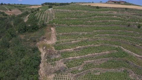 Vineyard in the mountains at Sarras Stock Footage 158226233