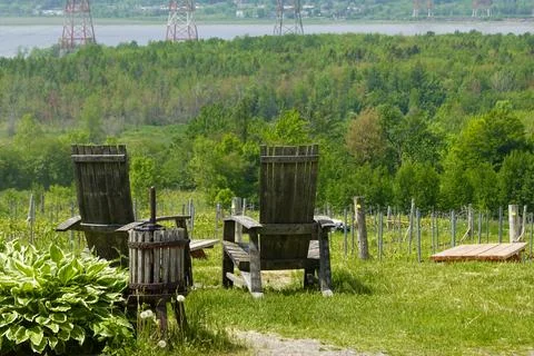 Vineyard Observation Point Stock Photos
