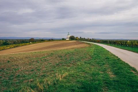 Vineyard with observatory view Stock Photos