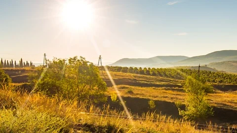 Vineyard panoramic view Stock Footage 96214198