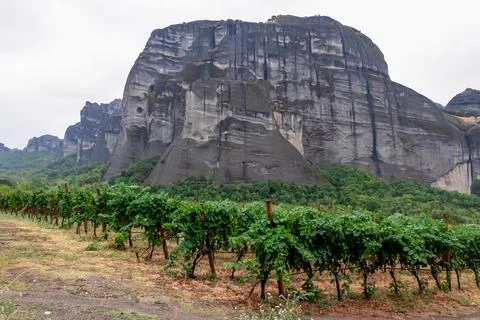 Vineyard with panoramic view of the unique rock formations in village Kastr.. Foto stock