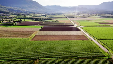 Vineyard parcels and access roads near Lake Garda, Italy 스톡 동영상 318851266