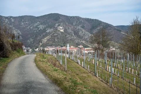 Vineyard Path to Drnstein Stock Photos